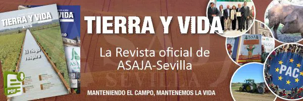 Banner-TIERRAYVIDA-200 Banner acceso a las revistas Oficial Tierra y vida de ASAJA-Sevilla
