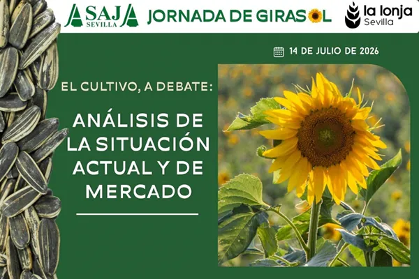 Foto ASAJA-Sevilla reunirá mañana, 14 de julio, a expertos del sector del girasol en una jornada técnica para analizar la evolución del mercado y las perspectivas de la campaña