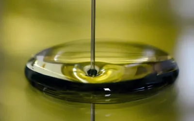 d39254ab75a1a93611a3996243fe7981_L Foto Se inicia la audiencia pública del proyecto de norma de comercialización del aceite de oliva para la campaña 2026/27