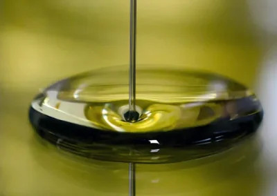 d39254ab75a1a93611a3996243fe7981_L Foto Se inicia la audiencia pública del proyecto de norma de comercialización del aceite de oliva para la campaña 2026/27