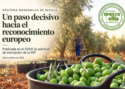 20261029Manzanilla de Sevilla rumbo a Europa