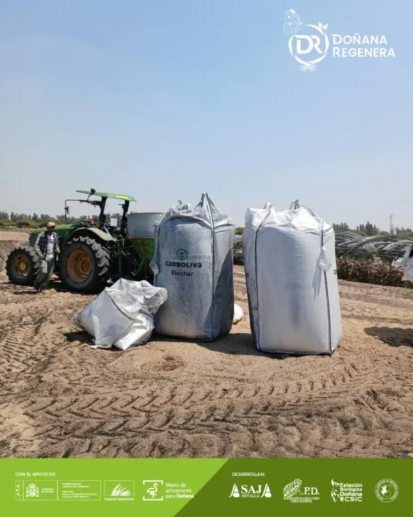Cartel doñana regenera Una nueva forma de cuidar el suelo: ensayamos con biochar