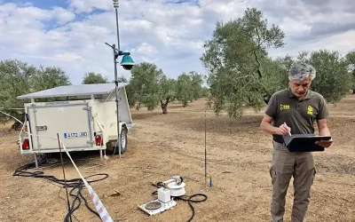 Foto ¿Cómo respira el olivar?