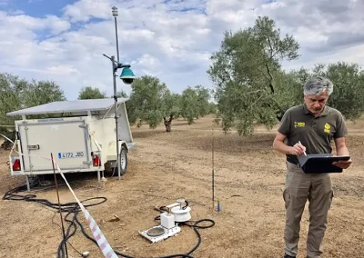 Foto ¿Cómo respira el olivar?
