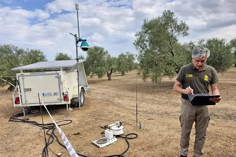 Como respira el olivar Foto ¿Cómo respira el olivar?