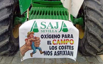 Foto Cultivos sin precio y costes disparados: el campo andaluz se encuentra en una situación limite