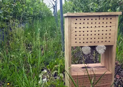Foto Doñana Regenera refuerza su apoyo a las abejas silvestres con hoteles de insectos
