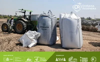 Foto Una nueva forma de cuidar el suelo: ensayamos con biochar