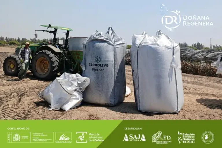 Foto Una nueva forma de cuidar el suelo: ensayamos con biochar