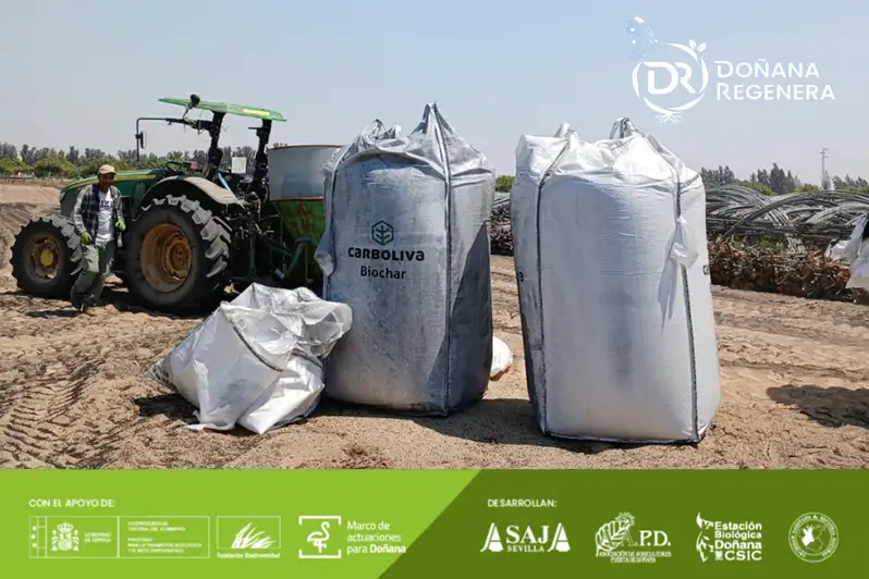 Foto Una nueva forma de cuidar el suelo: ensayamos con biochar
