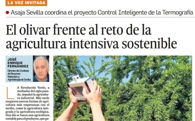 Foto El olivar frente al reto de la agricultura intensiva sostenible