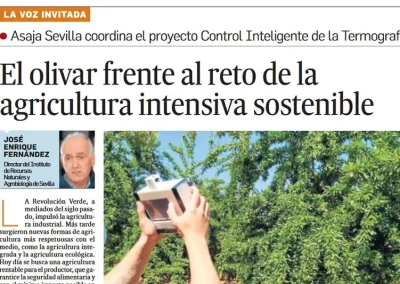 Foto El olivar frente al reto de la agricultura intensiva sostenible