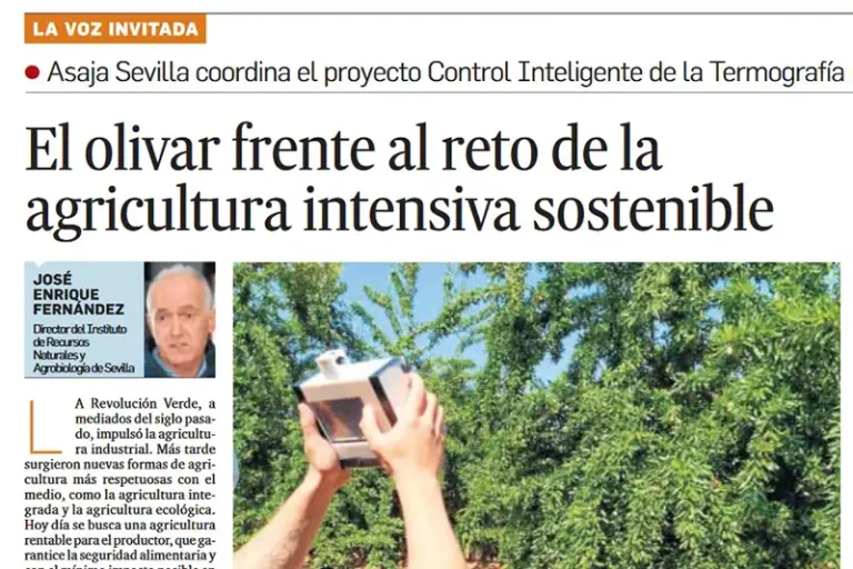 Foto El olivar frente al reto de la agricultura intensiva sostenible