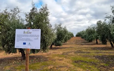 Foto El proyecto BIOLIVAR se presenta en la comarca de Estepa