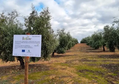 El proyecto BIOLIVAR se presenta en la comarca de Estepa Foto El proyecto BIOLIVAR se presenta en la comarca de Estepa