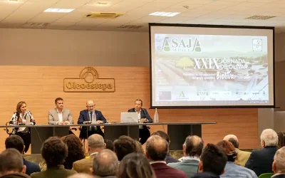 Foto El proyecto Biolivar presenta en Estepa los resultados de sus trabajos para impulsar la sostenibilidad de este cultivo