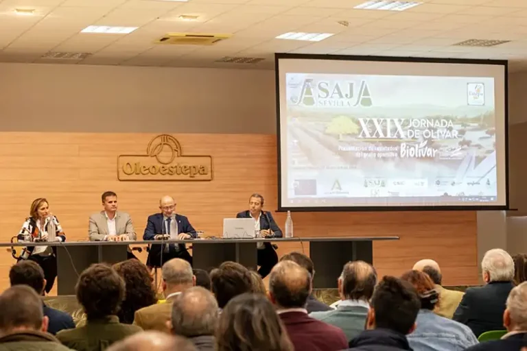 Foto El proyecto Biolivar presenta en Estepa los resultados de sus trabajos para impulsar la sostenibilidad de este cultivo