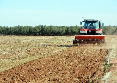 Foto Finalizada la siembra de márgenes en las fincas colaboradoras