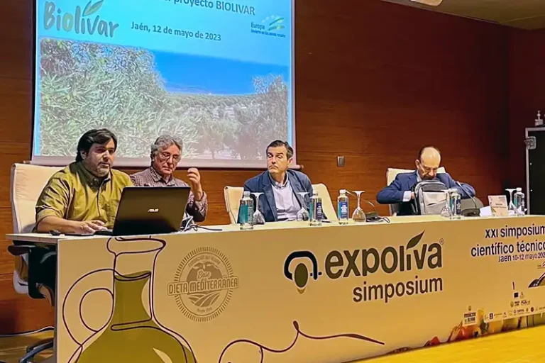 La experiencia del proyecto BIOLIVAR, en el simposio de EXPOLIVA Foto La sequía condiciona la marcha del proyecto BIOLIVAR