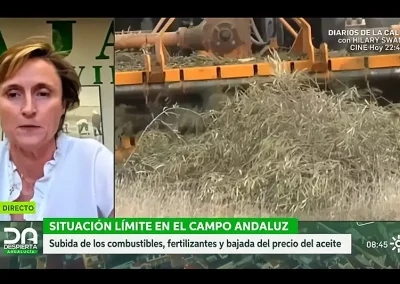 María Morales Los agricultores necesitamos que se prorrogue la ayuda al gasóleo Captura video María Morales: "Los agricultores necesitamos que se prorrogue la ayuda al gasóleo