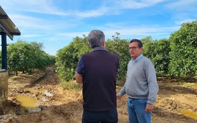 Microalgas y Economía Circular para la mejora de la productividad Agrícola Foto Proyecto MECA: Microalgas y Economía Circular para la mejora de la productividad Agrícola
