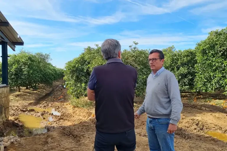 Foto Proyecto MECA: Microalgas y Economía Circular para la mejora de la productividad Agrícola