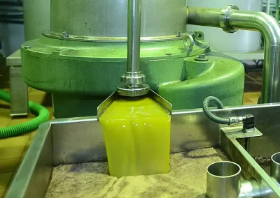 aceite ASAJA Sevilla
