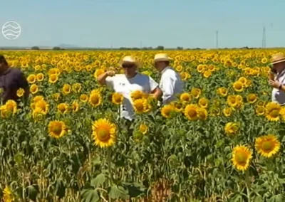 Agricultura de conservación para mantener el carbono en la tierra y reducir la contaminación