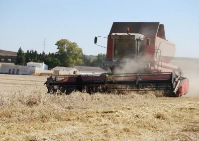 asaja-sevilla-celebrar-su-xxxvi-jornada-de-cultivo ASAJA-Sevilla celebrará su XXXVI Jornada de Cultivos Herbáceos el próximo 26 de junio