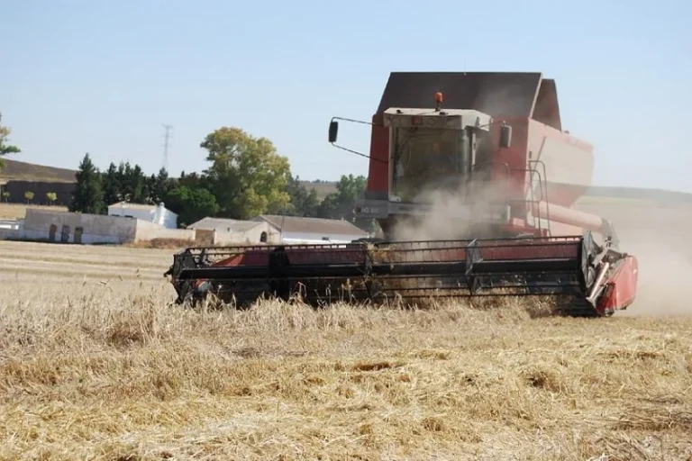 ASAJA-Sevilla celebrará su XXXVI Jornada de Cultivos Herbáceos el próximo 26 de junio
