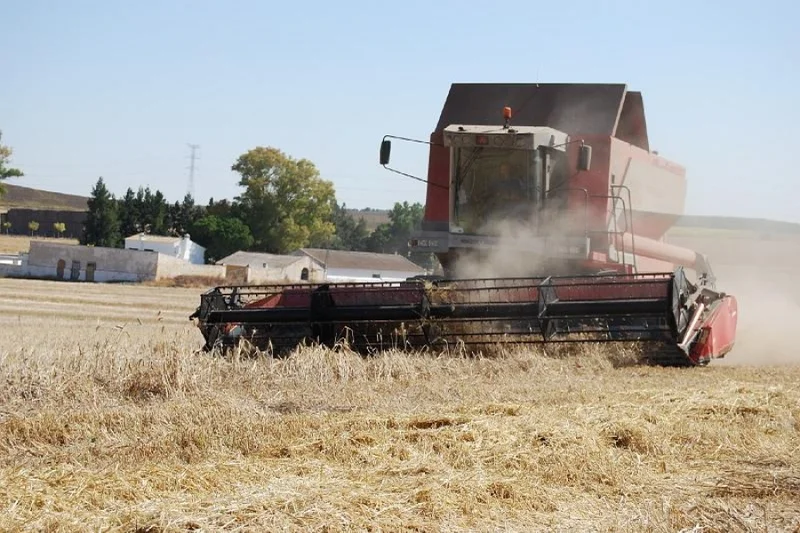 asaja-sevilla-celebrar-su-xxxvi-jornada-de-cultivo ASAJA-Sevilla celebrará su XXXVI Jornada de Cultivos Herbáceos el próximo 26 de junio