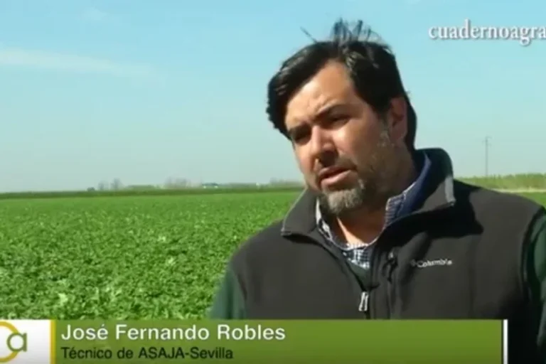 ¿Cómo resisten al hongo Sclerotium rolfsii las distintas variedades de patata?