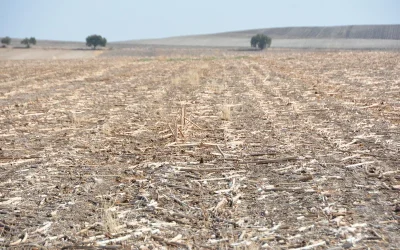 El proyecto LIFE Agromitiga llega al Senado y a la AEI-Agri europea