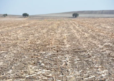 El proyecto LIFE Agromitiga llega al Senado y a la AEI-Agri europea