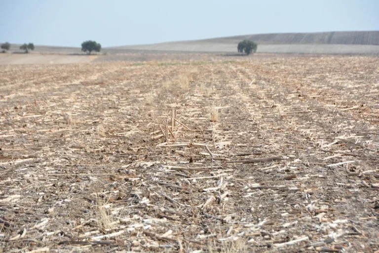El proyecto LIFE Agromitiga llega al Senado y a la AEI-Agri europea