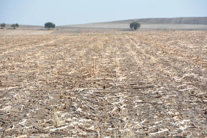 el-proyecto-life-agromitiga-llega-al-senado-y-a-la El proyecto LIFE Agromitiga llega al Senado y a la AEI-Agri europea