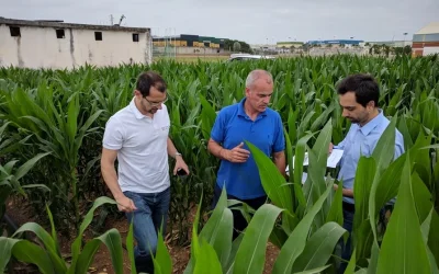 El proyecto Smart AG Services mejorará la competitividad de las explotaciones al reducir los costes y el impacto ambiental