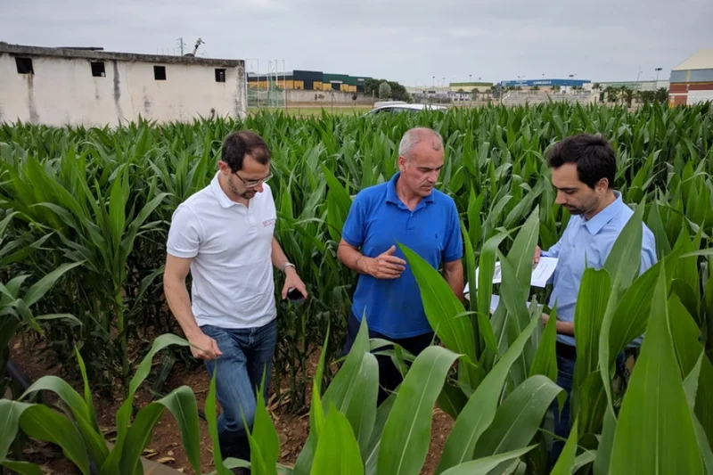 El proyecto Smart AG Services mejorará la competitividad de las explotaciones al reducir los costes y el impacto ambiental