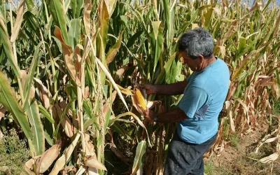 El proyecto Smart AG Servicies mejorará la competitividad de las explotaciones al reducir los costes y el impacto ambiental