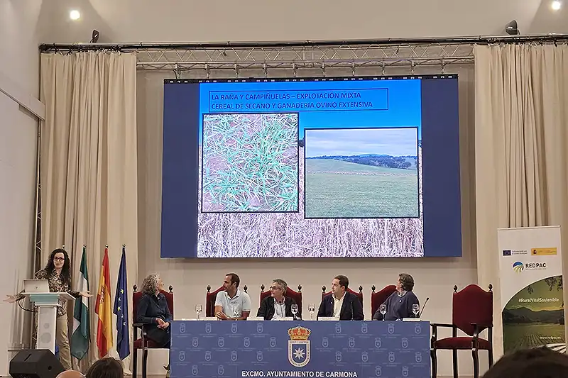 Foto mesa redonda de experiencias, moderada por Antonio Caro, coordinador de los Servicios Técnicos de ASAJA-Sevilla.