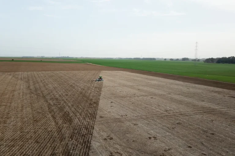 La Agricultura del carbono: desafíos y oportunidades para los agricultores europeos