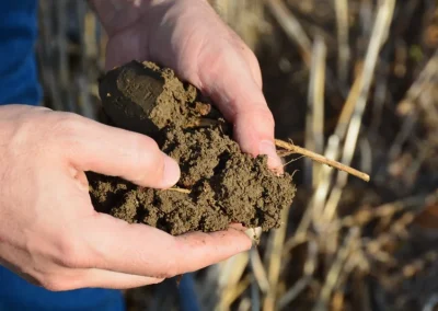 La agricultura del carbono, un paso más en su potenciación en la Unión Europea