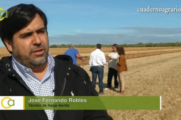 LIFE Agromitiga: combatiendo el cambio climático con la agricultura de conservación