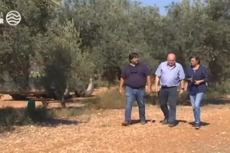 Life Agromitiga, un proyecto para impulsar la agricultura de conservación