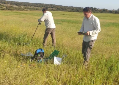 Los niveles de carbono del suelo se conocerán en Andalucía de manera fidedigna a escala regional