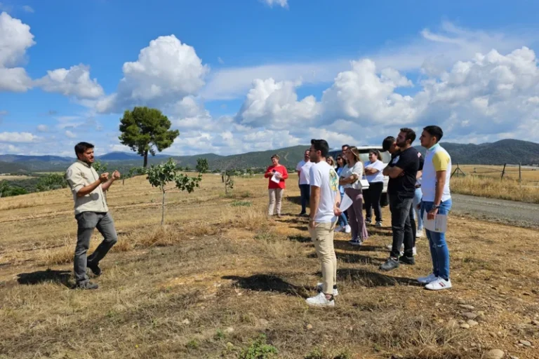 Manejo optimizado de los recursos suelo y agua en la agricultura - Life Agromitiga
