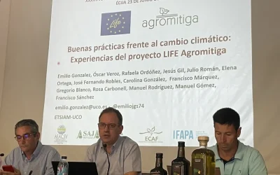 Mejorando la sostenibilidad en el sector de los cultivos herbáceos de Andalucía
