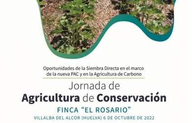Oportunidades de la Siembra Directa en el marco de la nueva PAC y en la Agricultura de Carbono