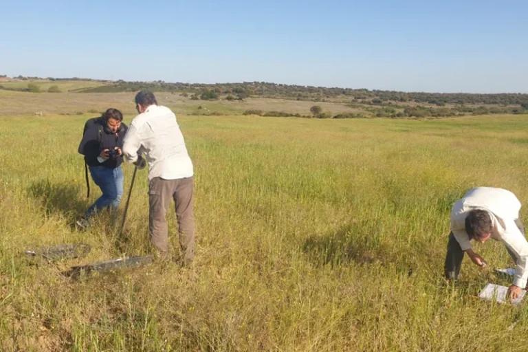 Puedes contribuir a mitigar el cambio climático desde tu propia explotación