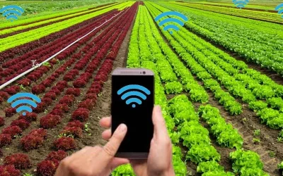 ¿Qué ofrece la agricultura de precisión?